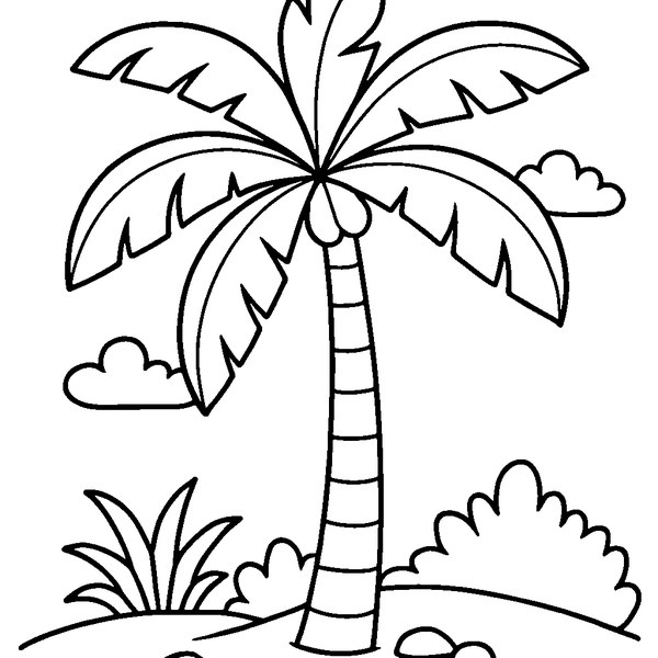 Dibujo en blanco y negro de una palmera tropical con hojas anchas y un tronco esbelto