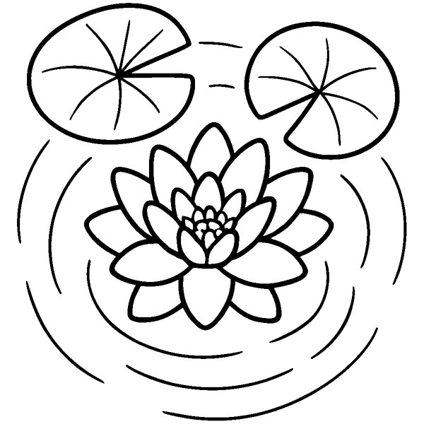 Dibujo en blanco y negro de un lirio acuático flotando sobre agua con hojas detalladas