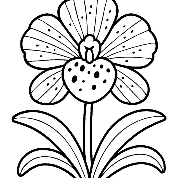 Orquídea exótica con pétalos ondulados y moteados, tallo curvado, hojas alargadas.