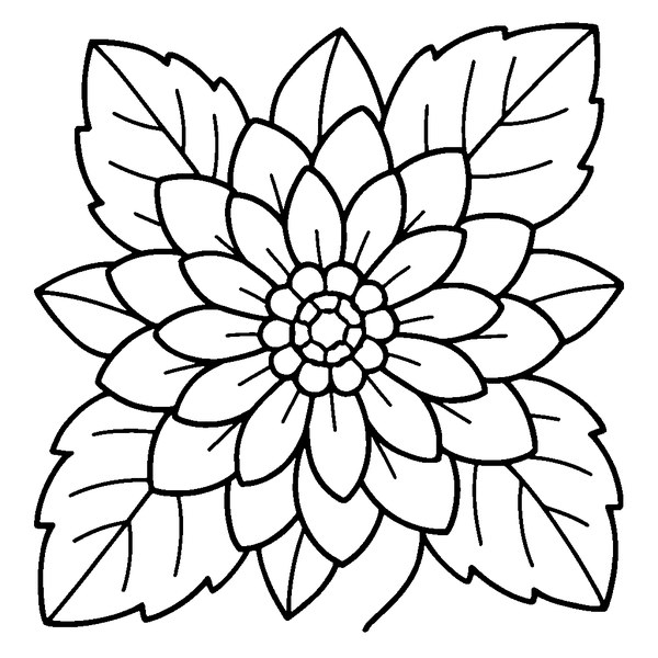 Dibujo en blanco y negro de una dalia mexicana con pétalos detallados y hojas en capas.