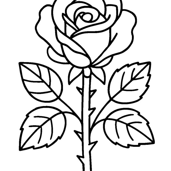 Dibujo de una rosa roja con espinas, detalle de pétalos y tallo espinoso en línea